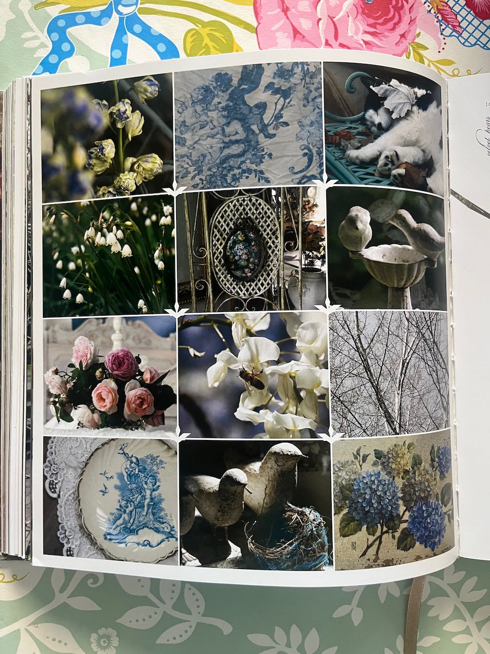 Velvet Pears by Susan southam (shop display book) Great condition