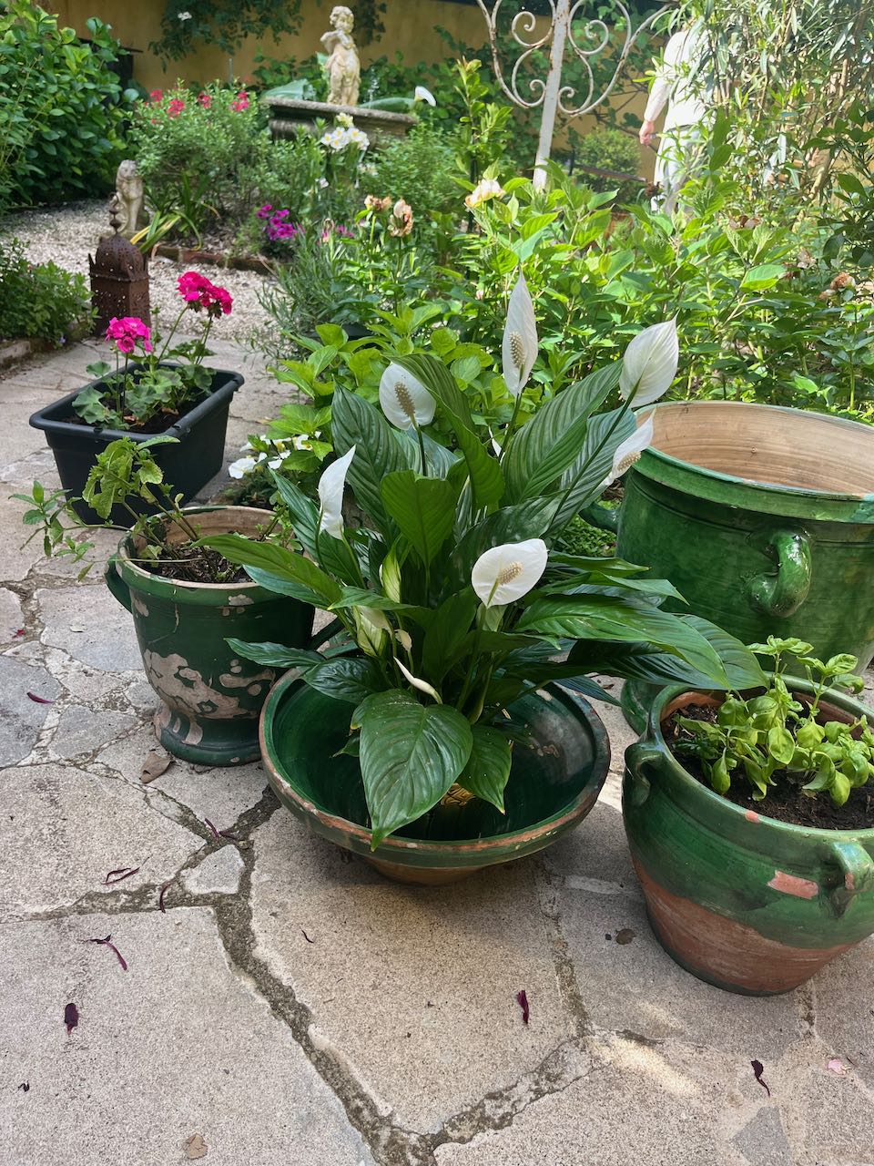 fa551 Large green French antique dough bowl