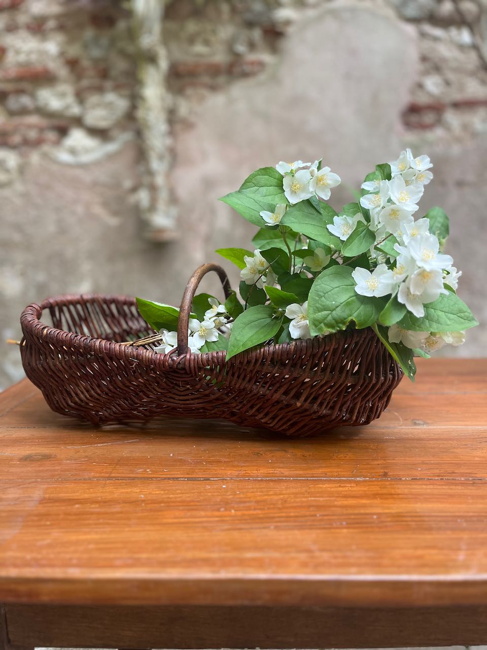 fa630 Lovely french panier made from Grapevines