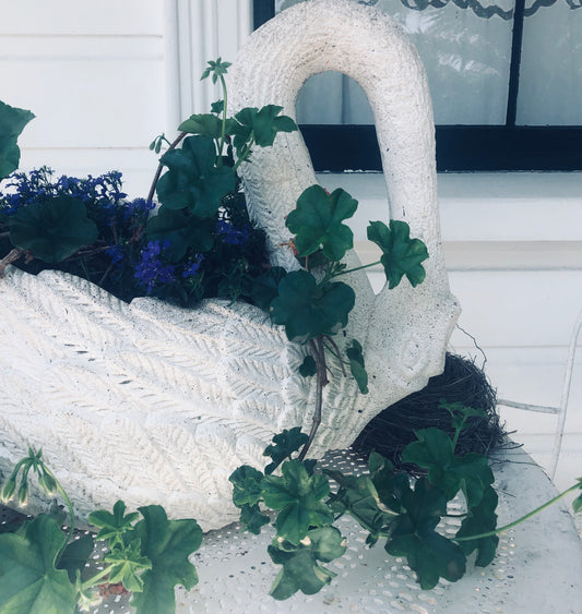 The Swan room, May 2017