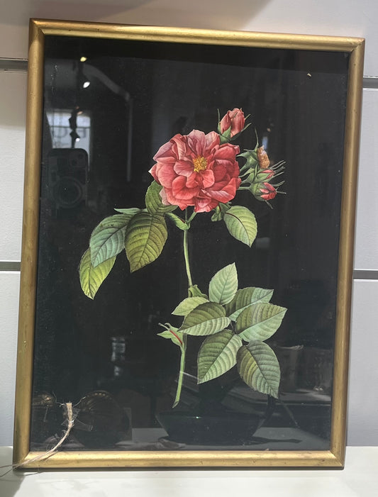 fa811 Framed french floral print
