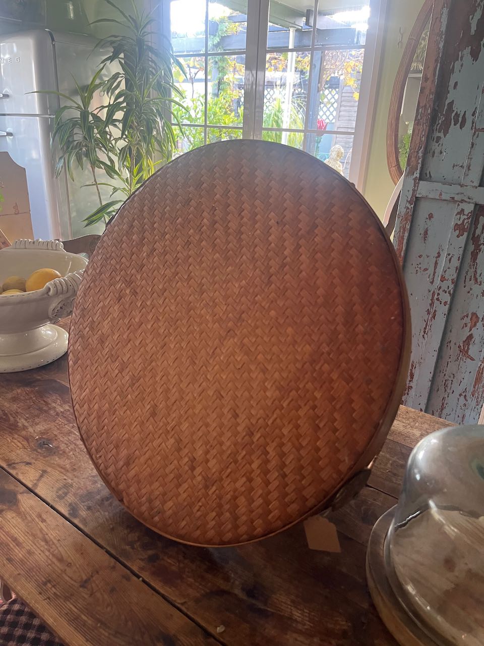 Large food cover