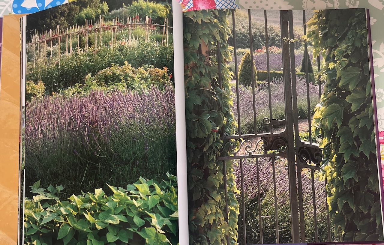 Provence: Style of Living by Jérôme Coignard, published by Hachette .(shop display book, fair condition)