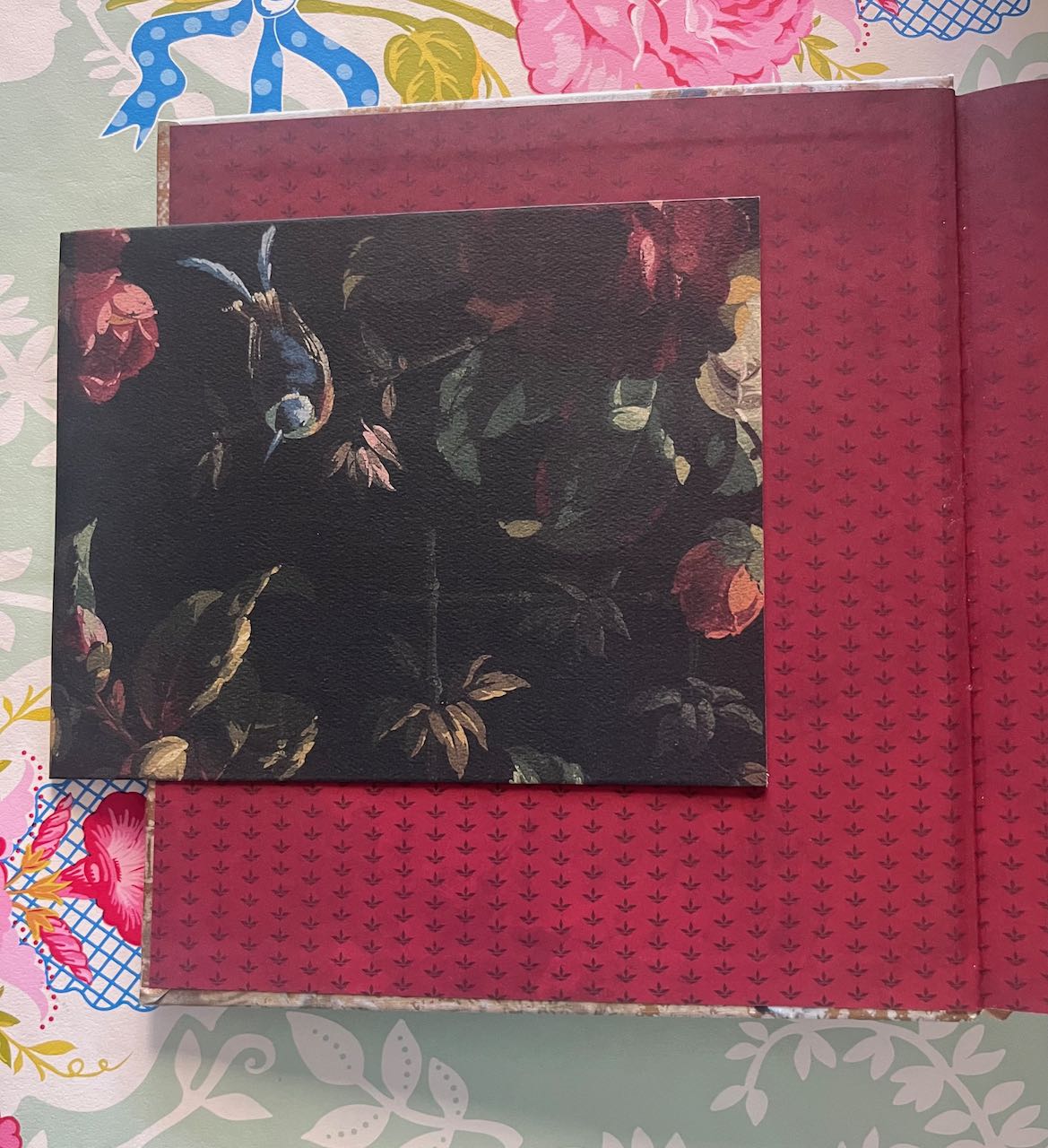 Velvet Pears by Susan southam (shop display book) Great condition