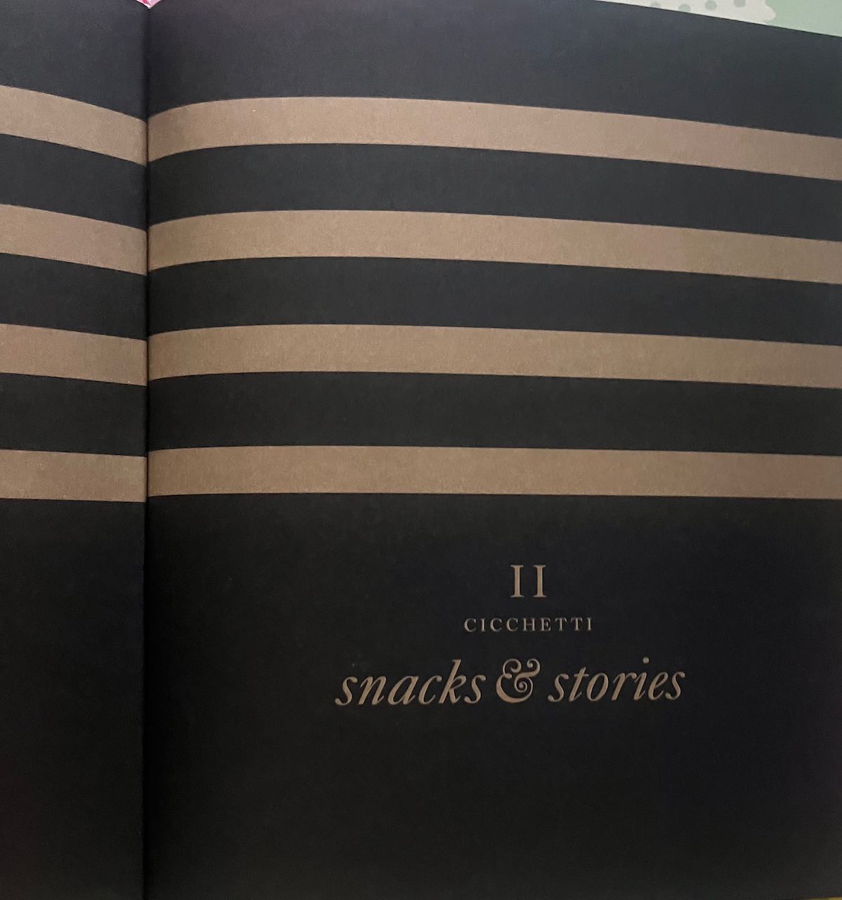 A Venetian Journal: Food, Travel, Dreams by Tessa Kiros, (was a shop display book) good condition