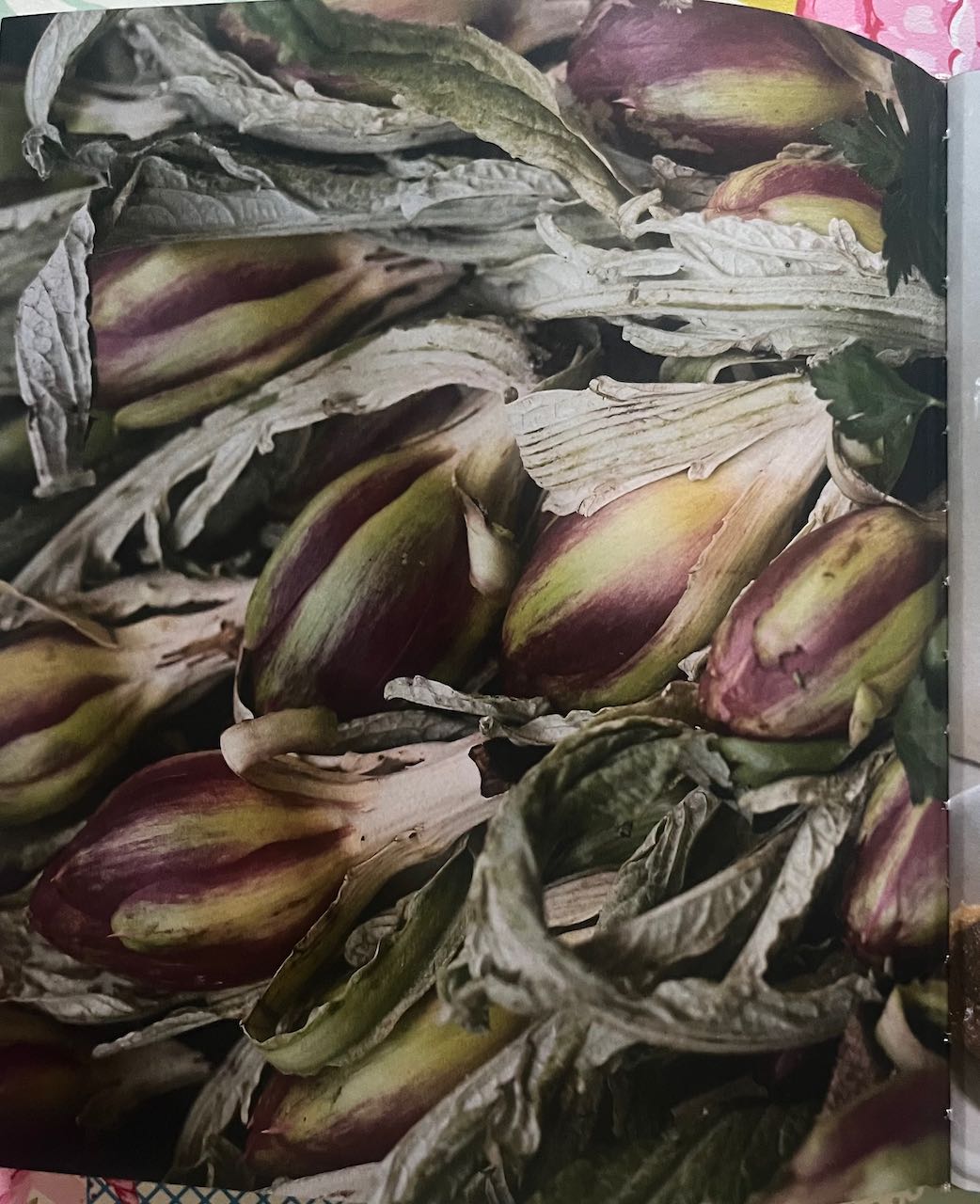 A Venetian Journal: Food, Travel, Dreams by Tessa Kiros, (was a shop display book) good condition