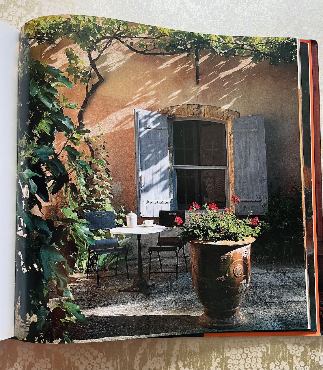 Living in Provence  (shop display book, dust sheet is slightly worn on edges).