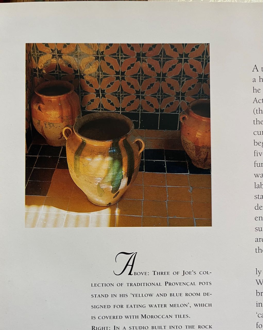 Living in Provence  (shop display book, dust sheet is slightly worn on edges).