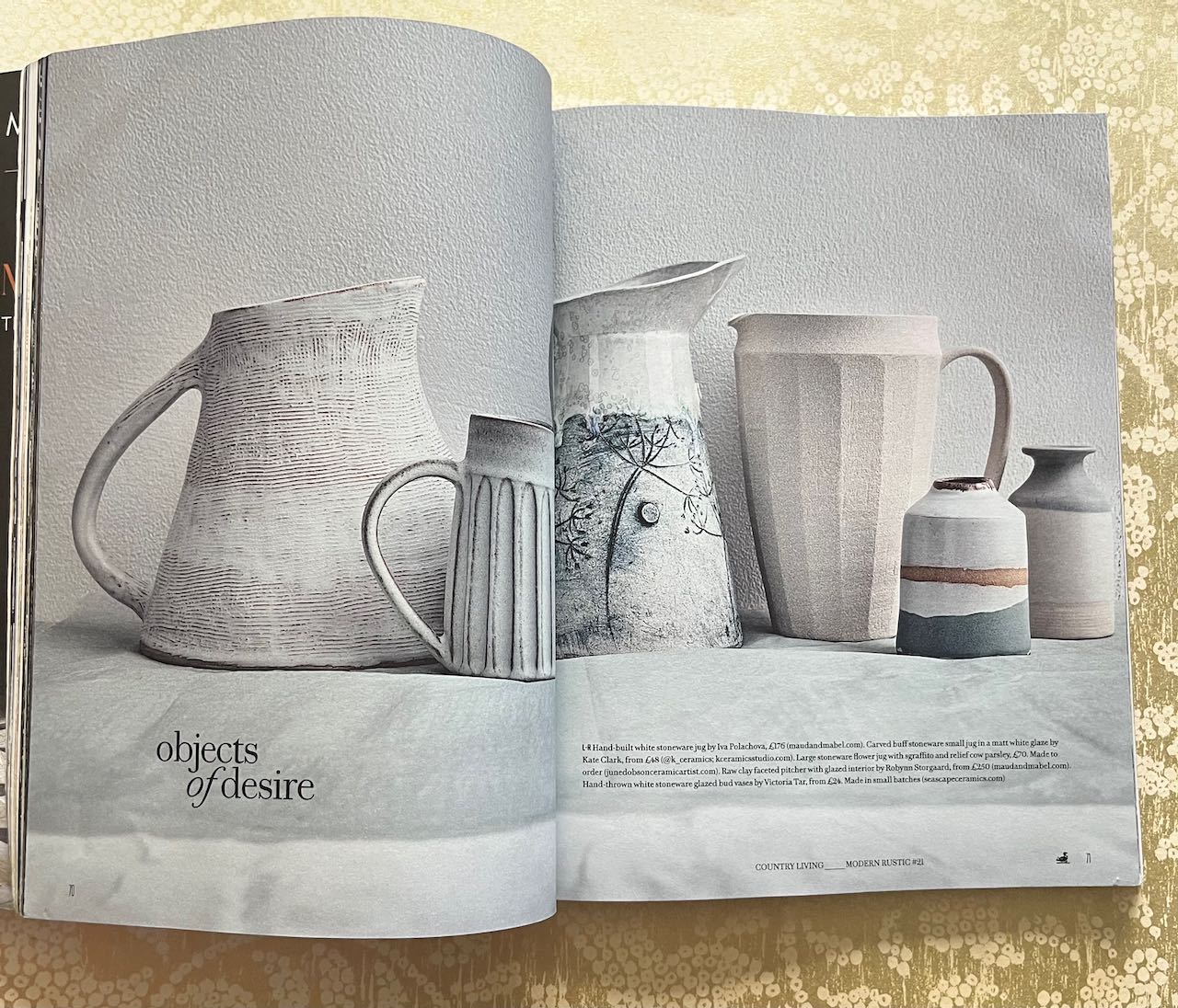 Modern rustic (shop display book,,nibbled on bottom right)