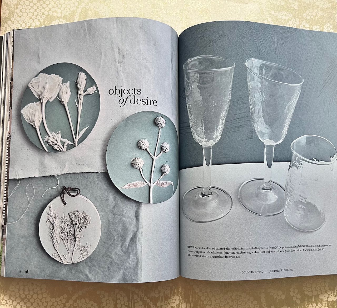 Modern rustic (shop display book,,nibbled on bottom right)