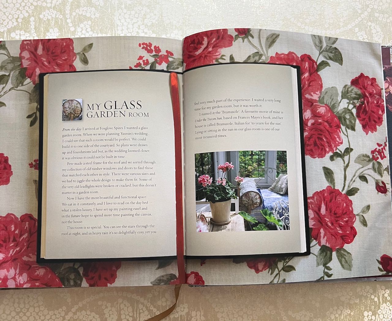 Velvet Pears by Susan southam (shop display book) Great condition
