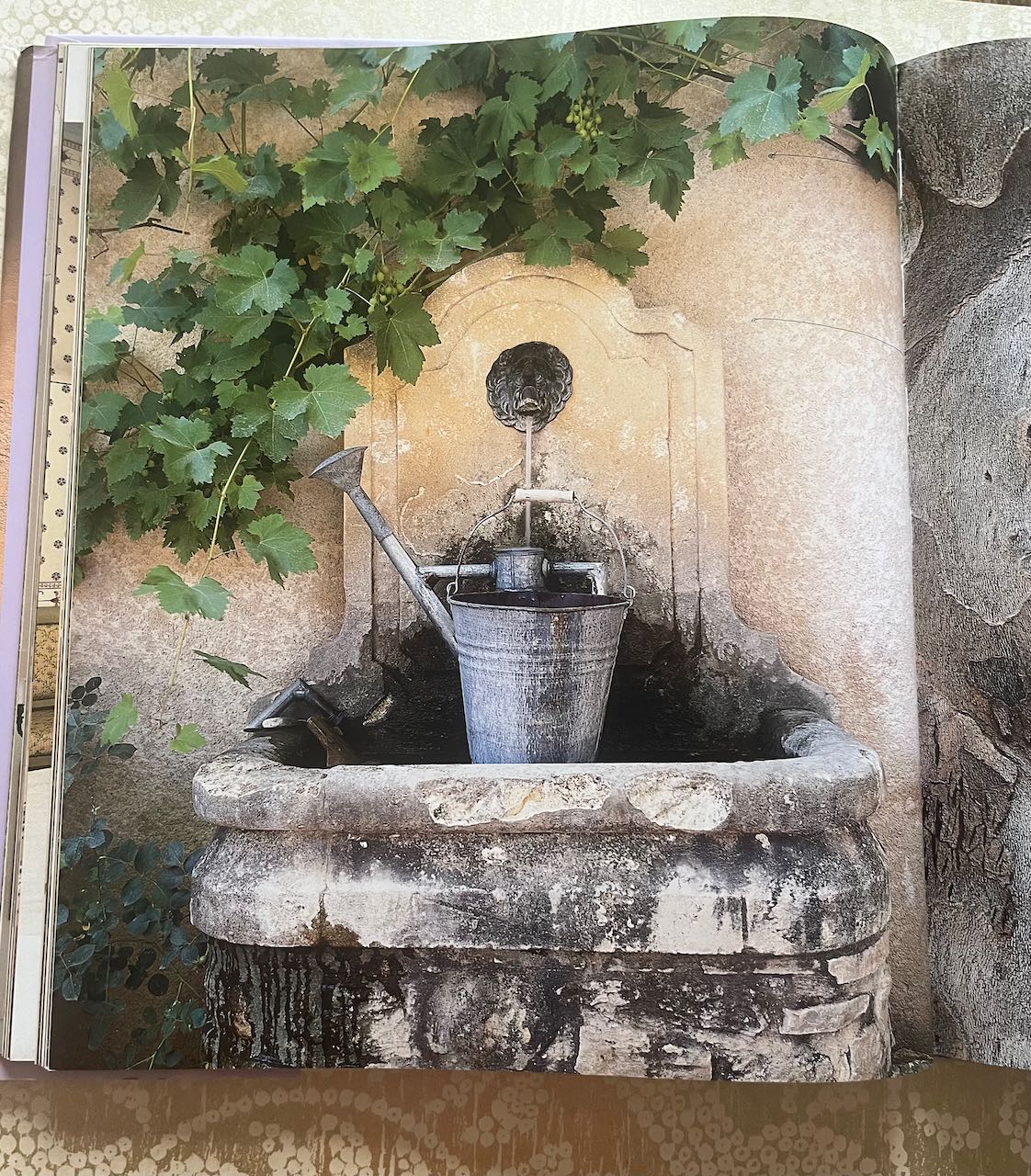 Living in Provence by Barbara & René Stoeltie (shop display, fair condition)