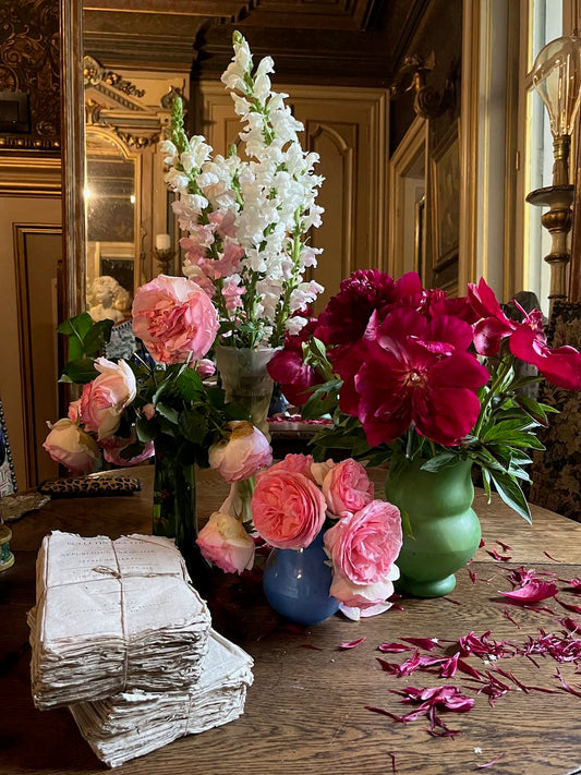 fa509 Bundle of little french antique journals from 1823, tied in string
