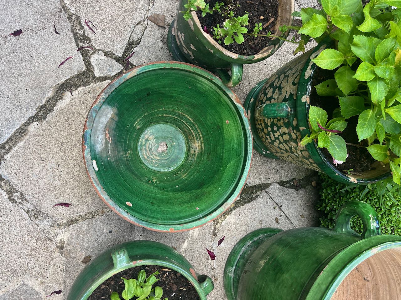 fa551 Large green French antique dough bowl