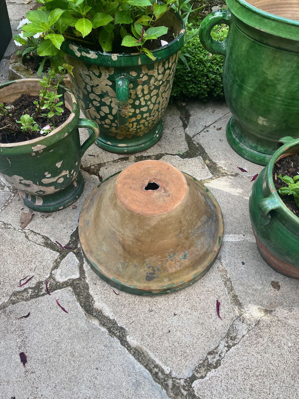 fa551 Large green French antique dough bowl