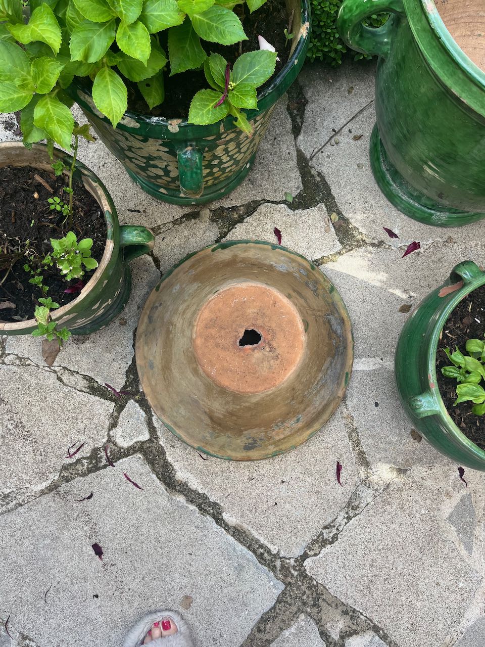 fa551 Large green French antique dough bowl