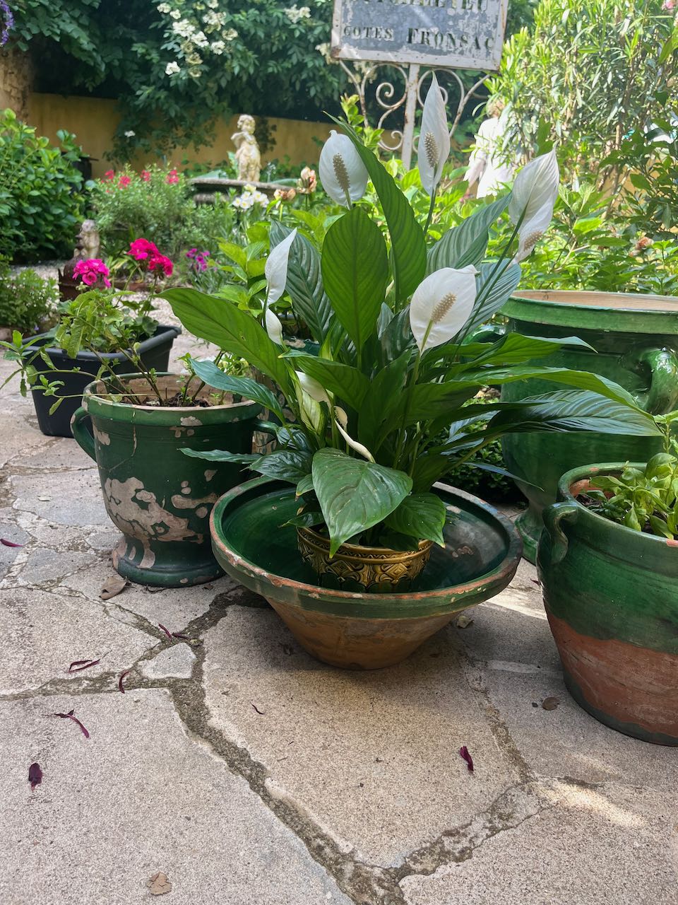 fa551 Large green French antique dough bowl