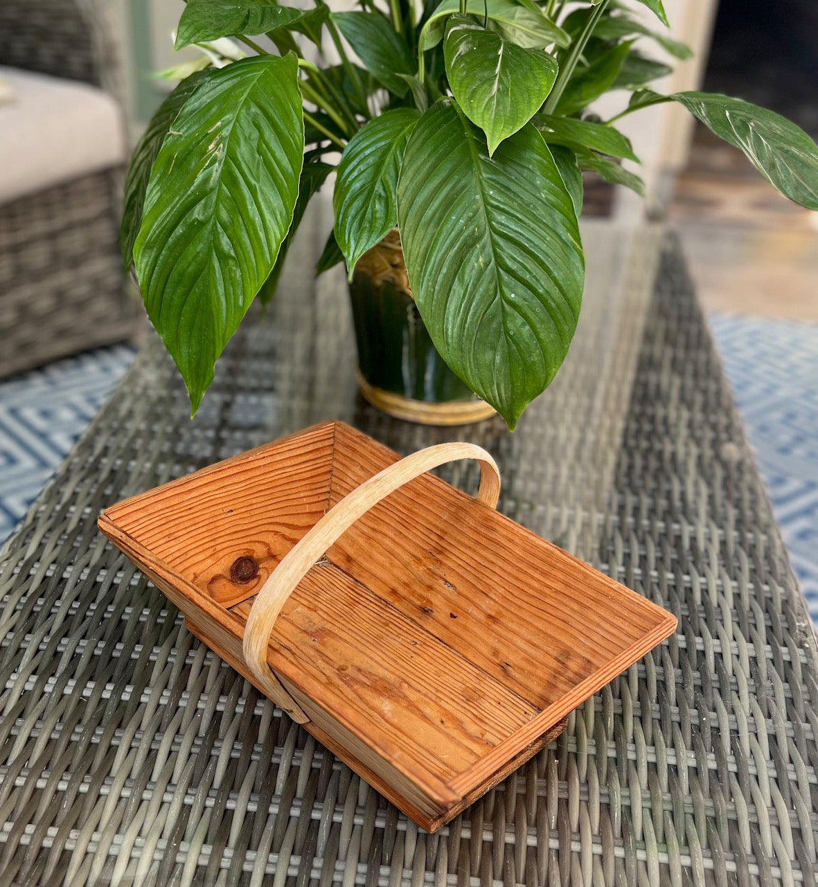 fa523 French vintage trug