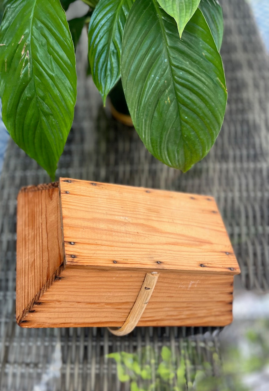 fa523 French vintage trug