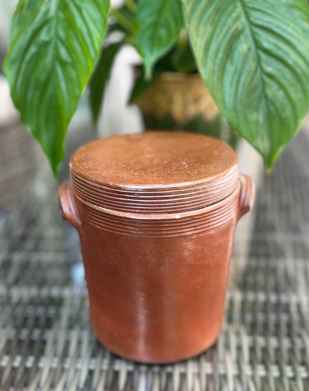 fa521 Stoneware container with lid