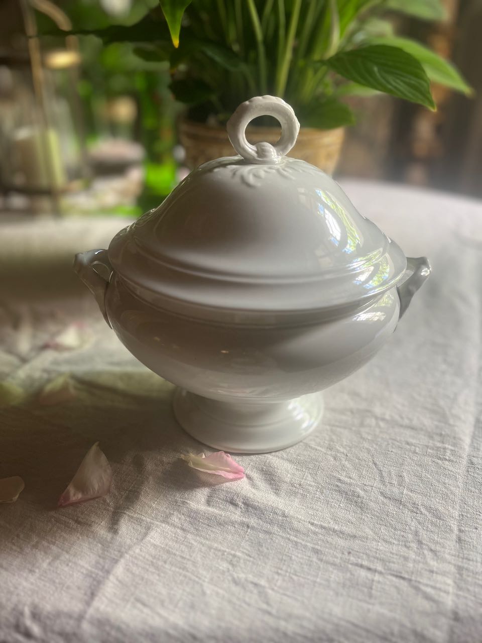fa574 Small-med white French antique Porcelaine soup tureen