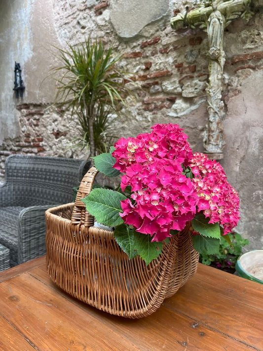 fa631 Deep wooden French vintage shopping Basket