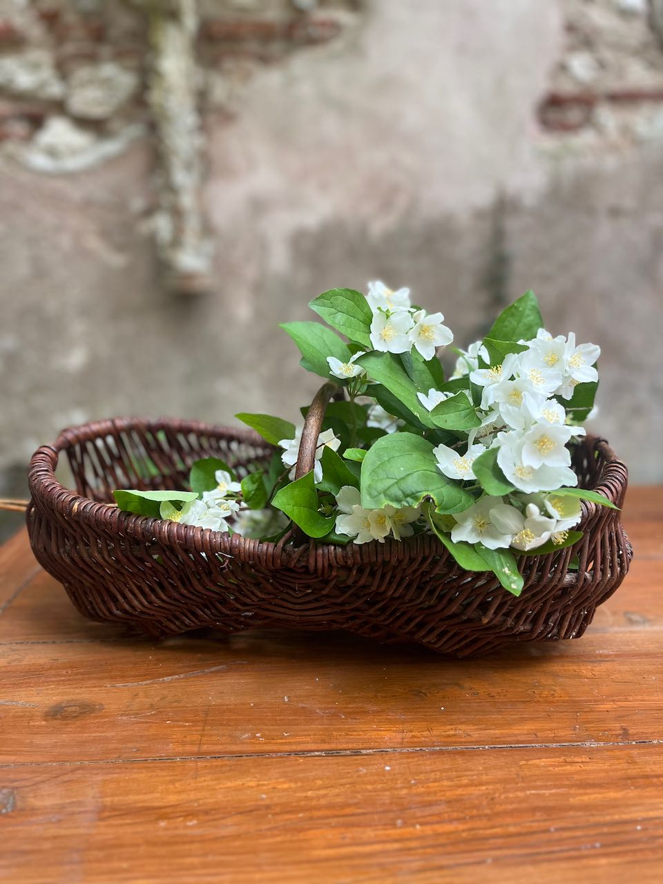 fa630 Lovely french panier made from Grapevines