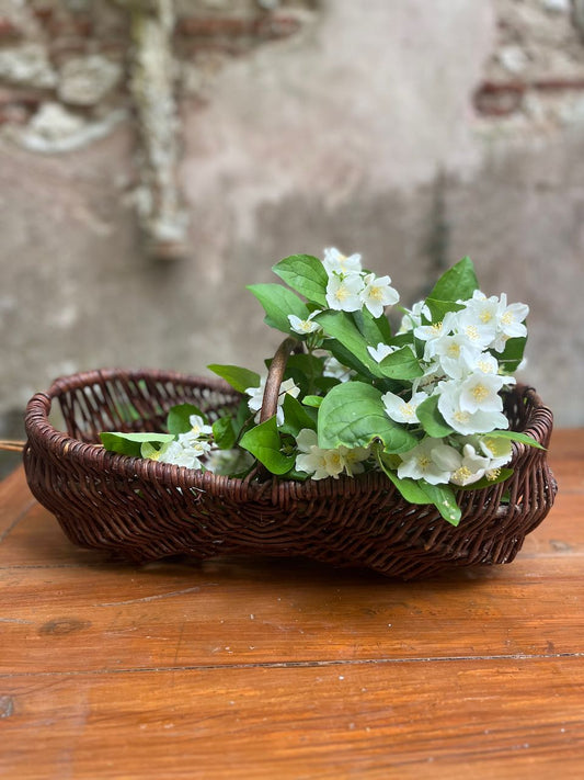 fa630 Lovely french panier made from Grapevines