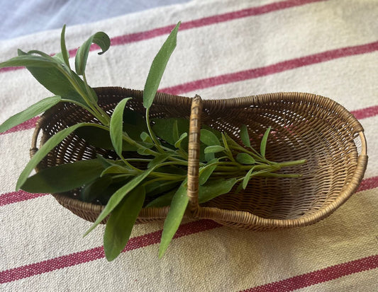 fa769 Small herb basket