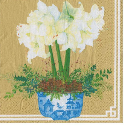 Potted Amaryllis cocktail paper Napkin ( set of 20)